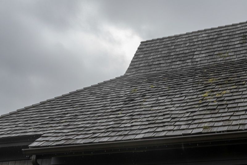 What Makes Cedar Shake Roof Replacement A Premium Roofing Choice
